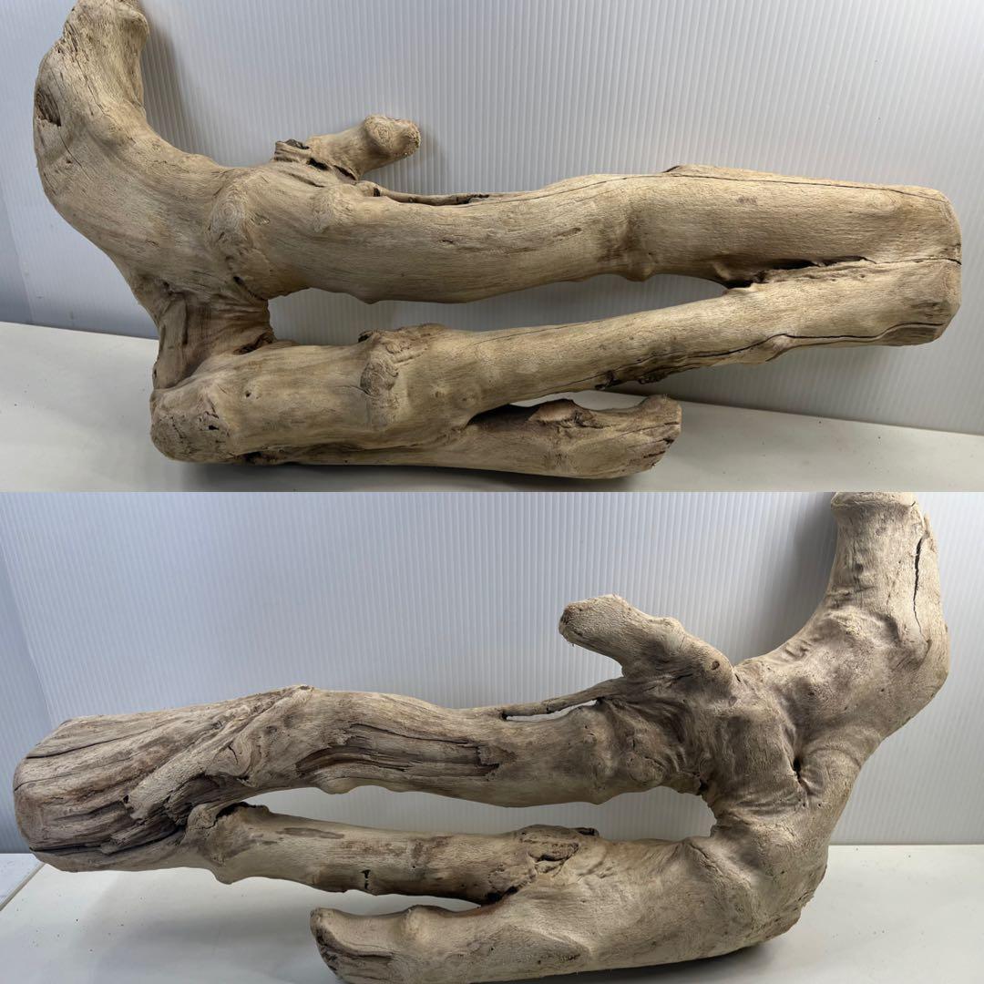 k6大型流木 アク抜き済み 爬虫類シェルター レイアウト用 登り木 インテリア